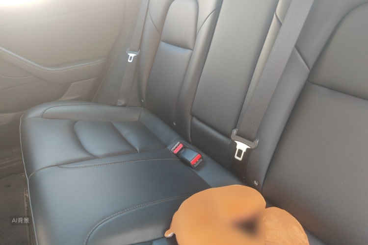 Tesla Model 3 2021 #19 Tesla Model 3 2021 car image #19