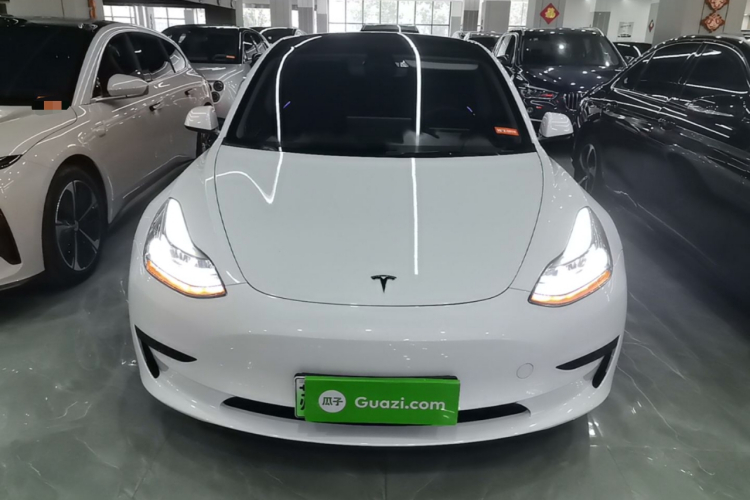 Tesla Model 3 2022 #3 Tesla Model 3 2022 car image #3