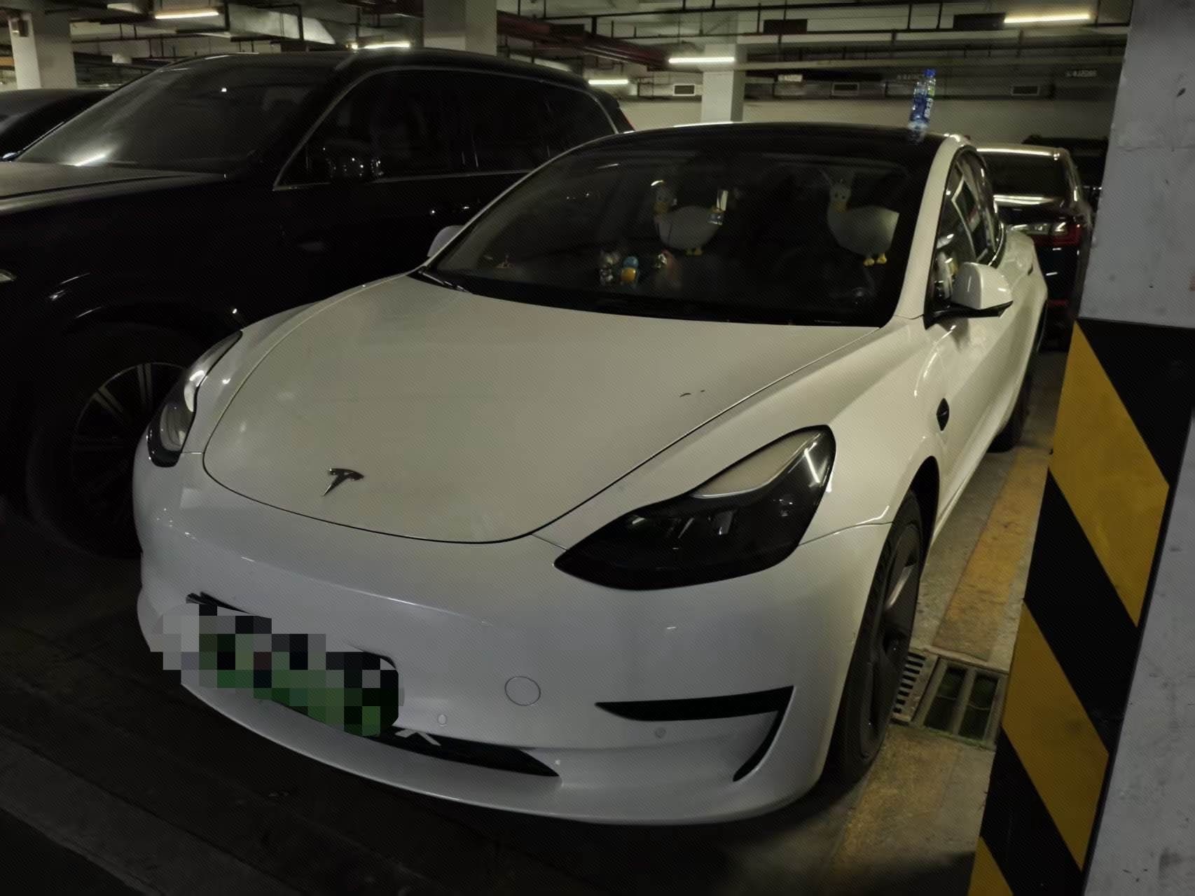 Tesla Model 3 2021 Tesla Model 3 2021 car image