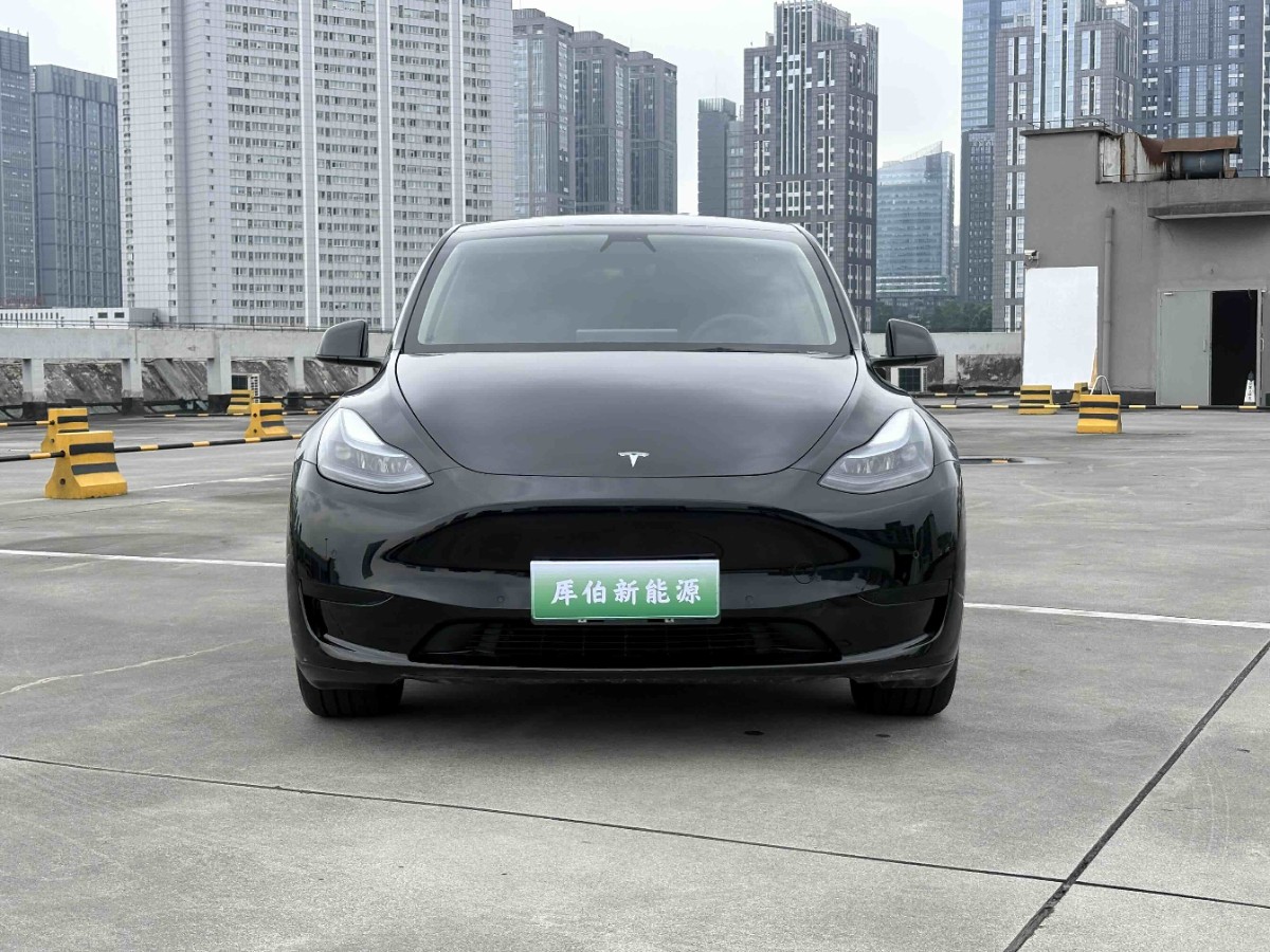 Tesla Model Y 2022 #3 Tesla Model Y 2022 car image #3