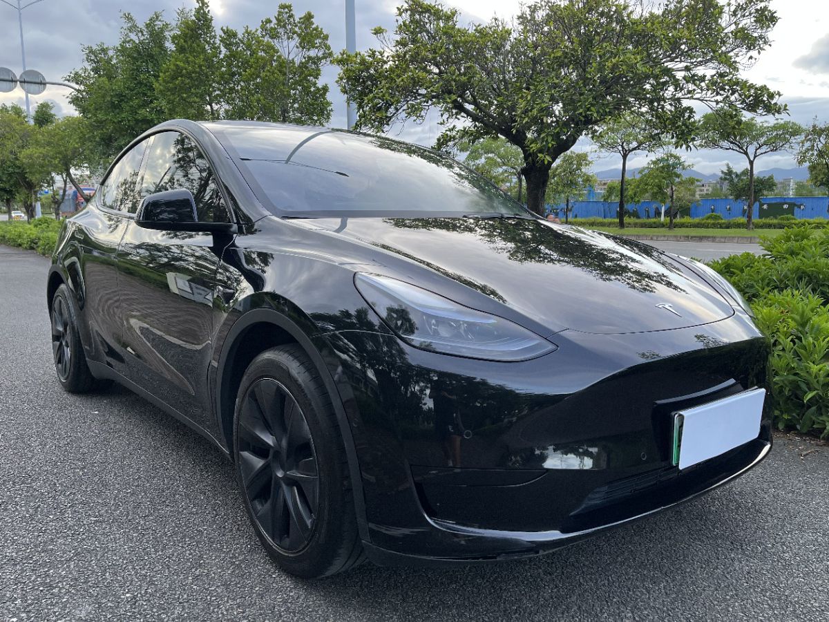 Tesla Model Y 2023 car image #3