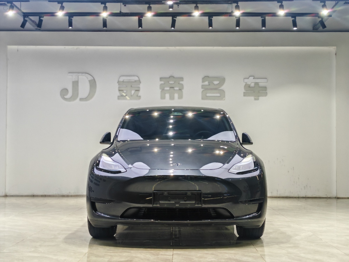 Tesla Model Y 2024 car image #2