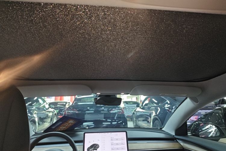 Tesla Model 3 2021 car image #18