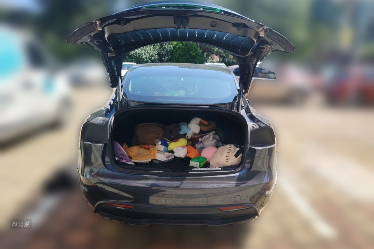Tesla Model 3 2024 car image #21