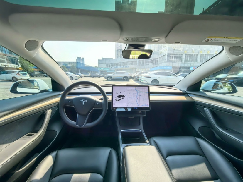Tesla Model 3 2021 car image #6