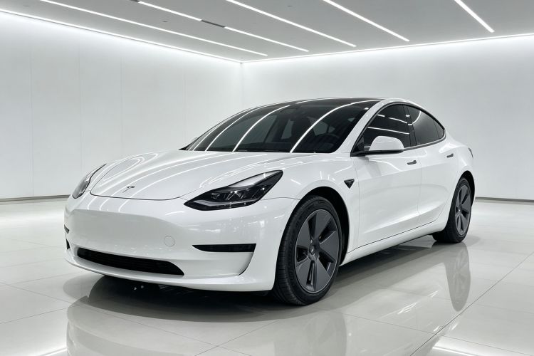 Tesla Model 3 2021 #2 Tesla Model 3 2021 immagine di auto #2