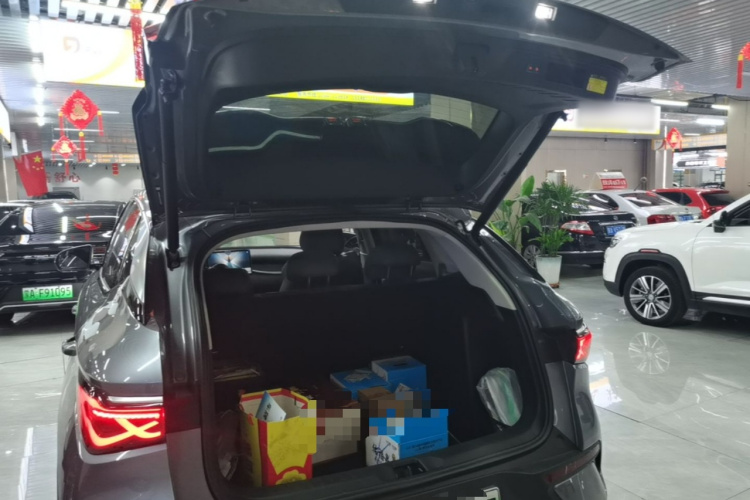 BYD Yuan Plus 2025 car image #19