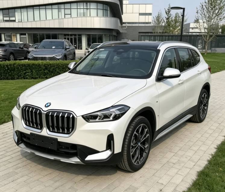 BMW X1 2023 immagine di auto 