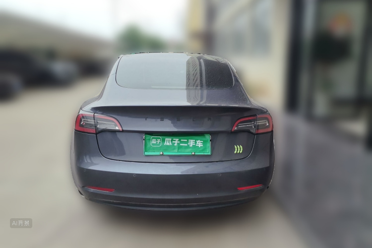 Tesla Model 3 2022 car image #6