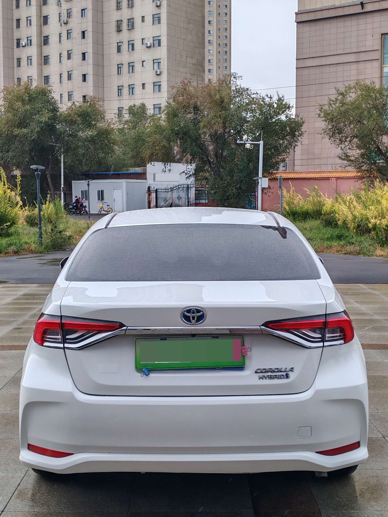 Toyota Corolla 2023 #8 Toyota Corolla 2023 car image #8