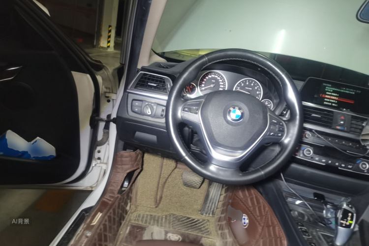 BMW 3 Series 2017 car image #12