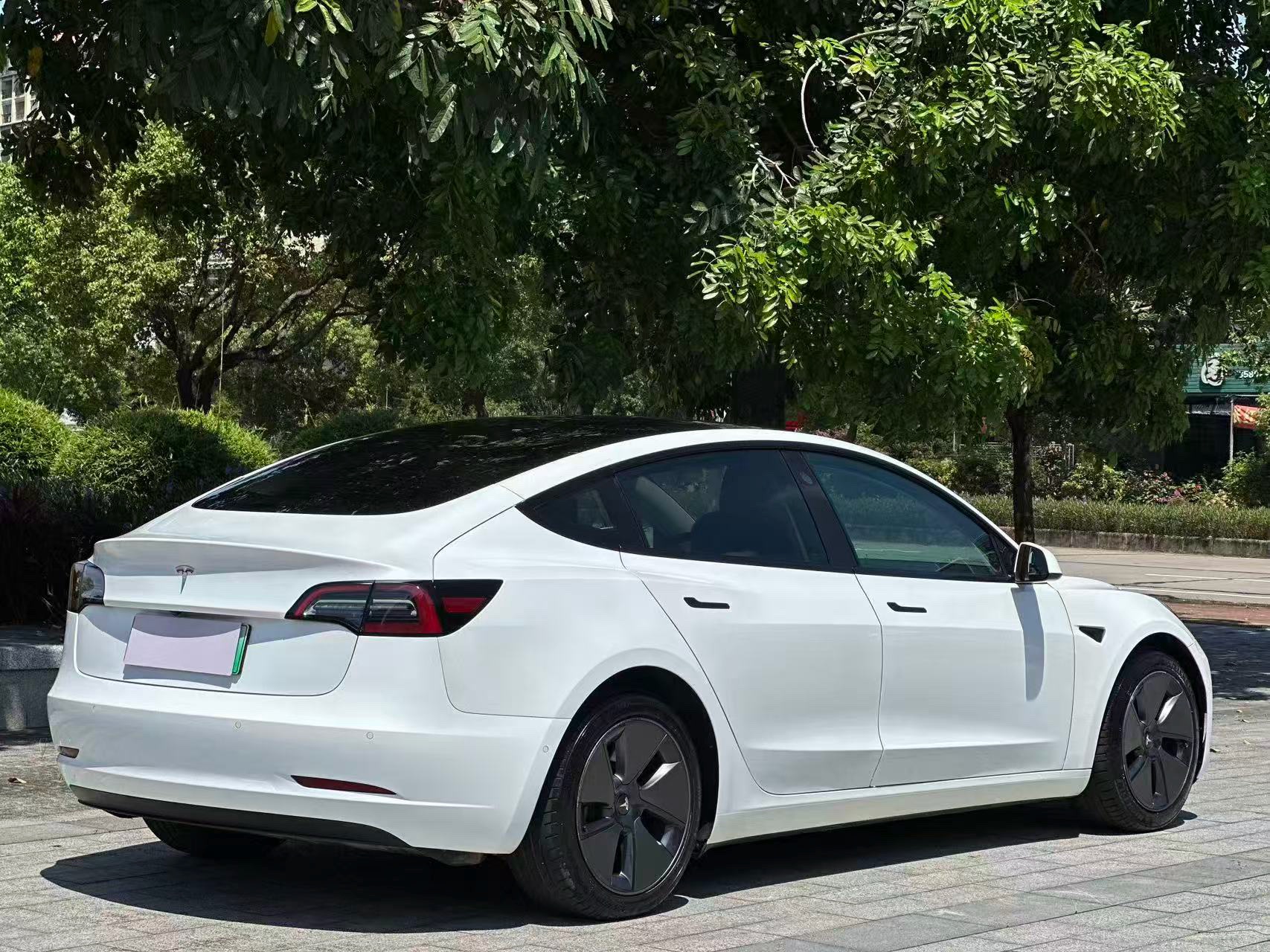 Tesla Model 3 2021 #9 Tesla Model 3 2021 car image #9