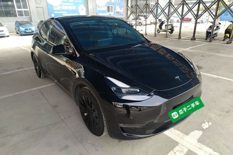 Tesla Model Y 2021 car image #4