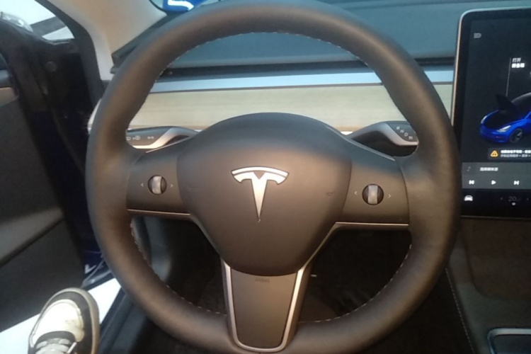 Tesla Model 3 2021 #11 Tesla Model 3 2021 immagine di auto #11