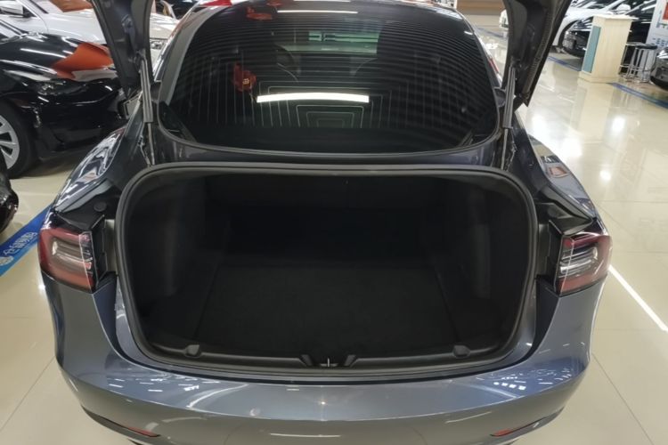 Tesla Model 3 2020 car image #19