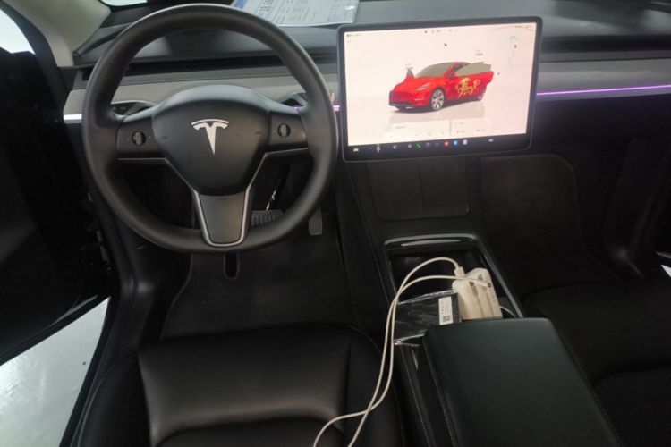 Tesla Model Y 2024 car image #10