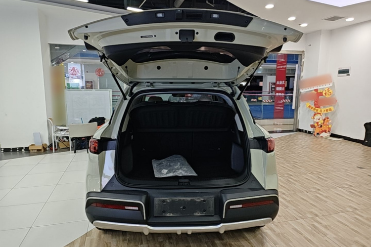 BYD YuanUP 2024 car image #19