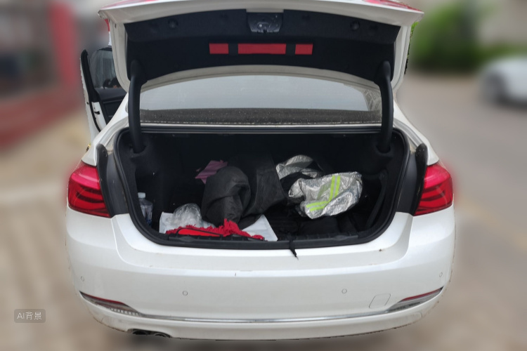 BMW 3 Series 2017 #21 BMW 3 Series 2017 car image #21