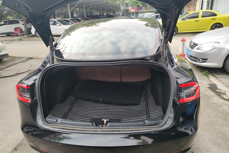 Tesla Model 3 2021 #19 Tesla Model 3 2021 car image #19