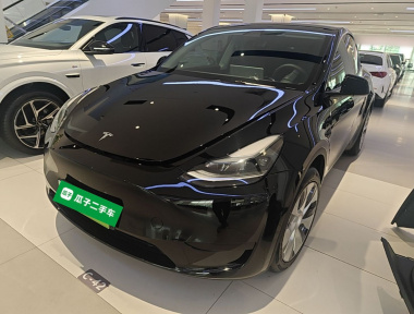 Tesla Model Y 2023 Tesla Model Y 2023 car image