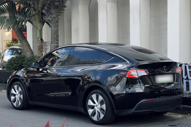 Tesla Model Y 2022 car image #6