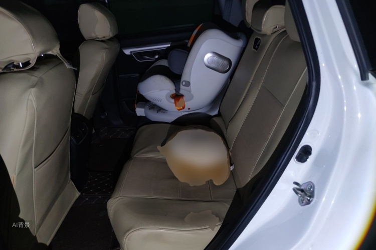 Honda CR-V 2019 car image #19