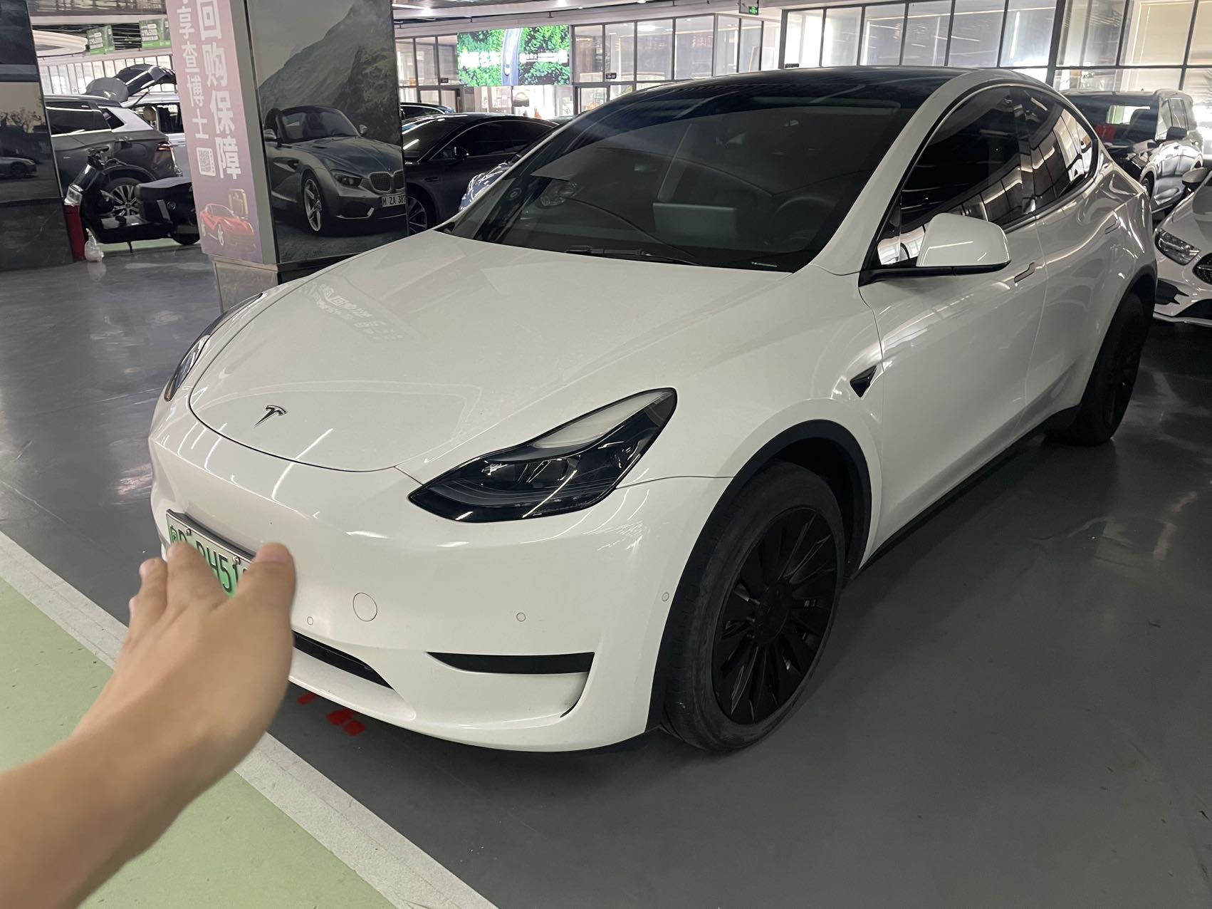 Tesla Model Y 2023 car image 