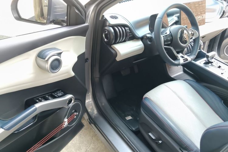 BYD Yuan Plus 2022 car image #16