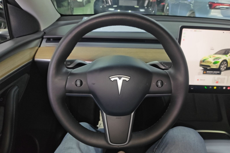 Tesla Model Y 2023 #11 Tesla Model Y 2023 imagen de coche #11