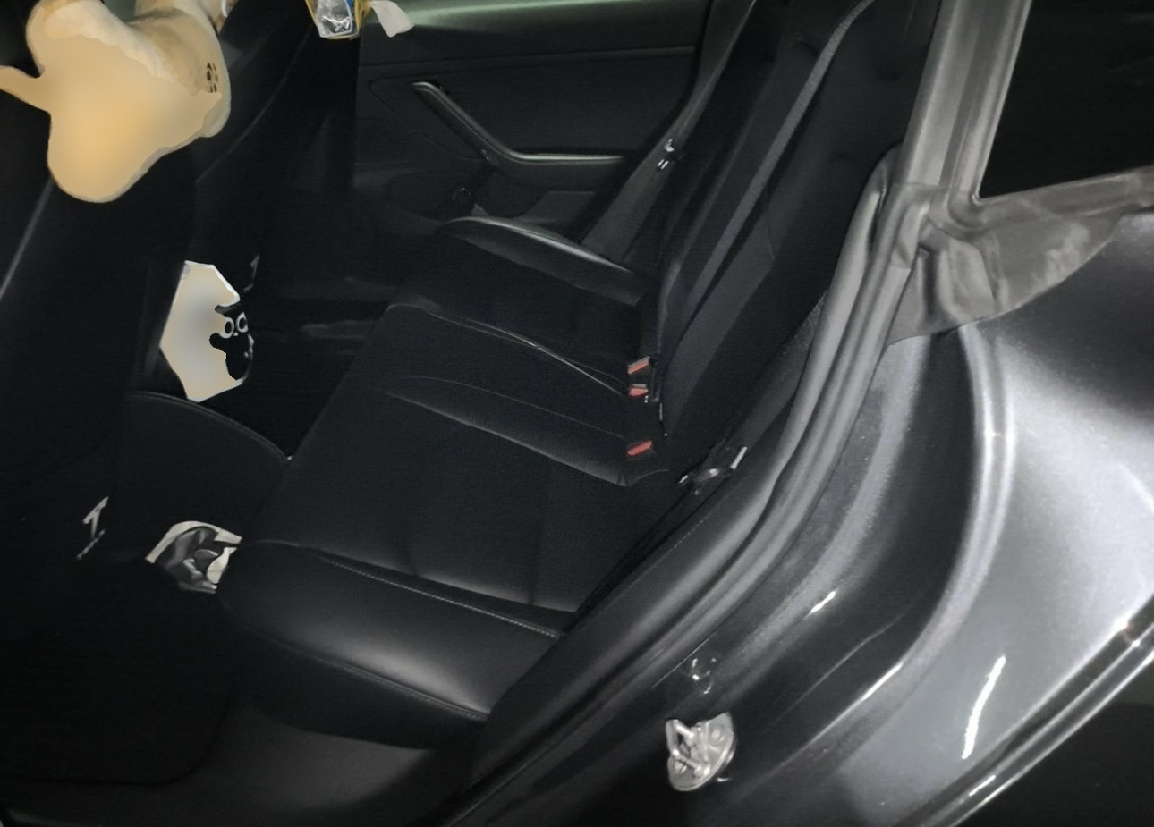 Tesla Model 3 2020 immagine di auto #4