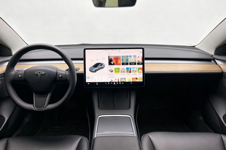 Tesla Model 3 2021 car image #15