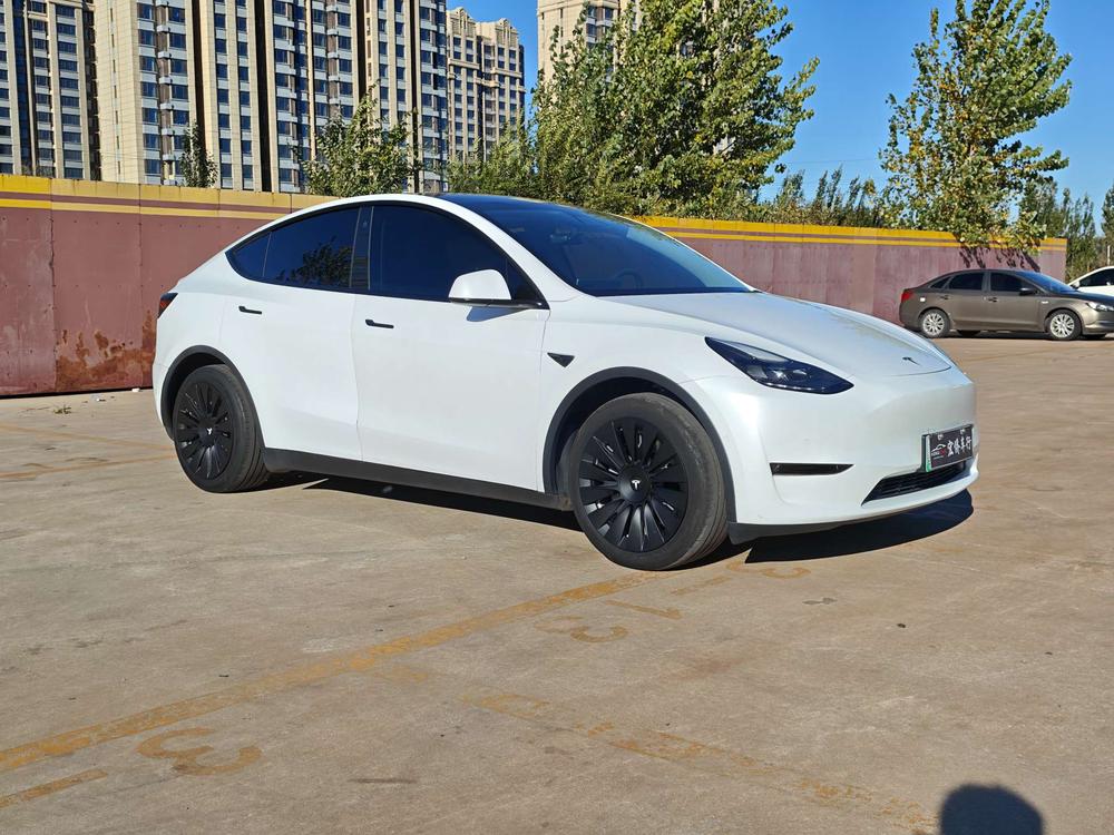 Tesla Model Y 2021 #3 Tesla Model Y 2021 car image #3