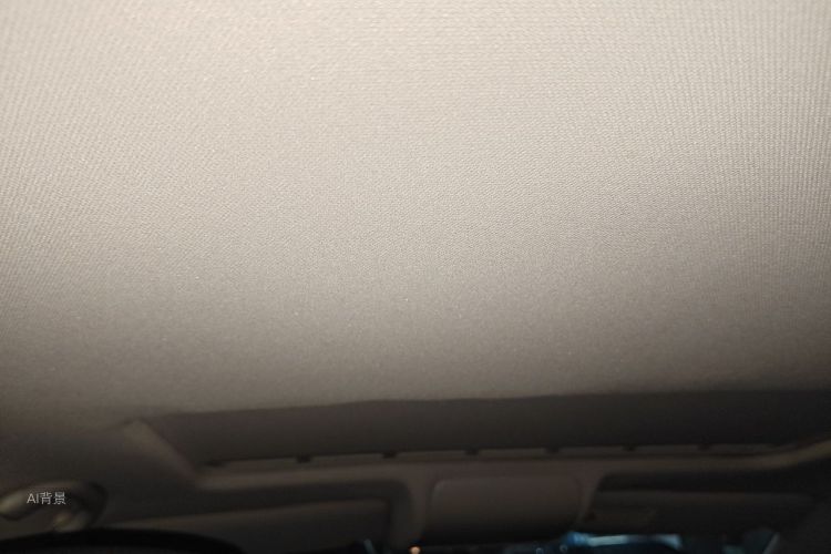 Volkswagen Polo 2016 car image #20