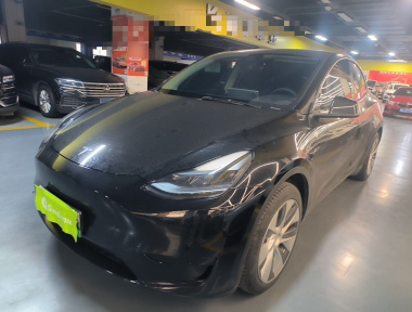 Tesla Model Y 2022 Tesla Model Y 2022 car image