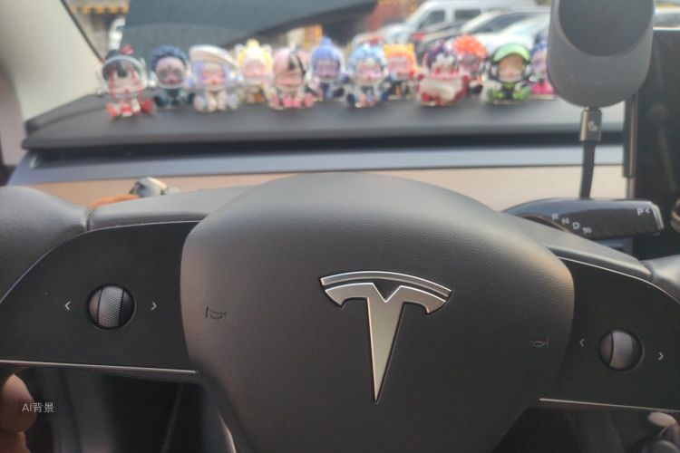 Tesla Model 3 2021 #13 Tesla Model 3 2021 car image #13