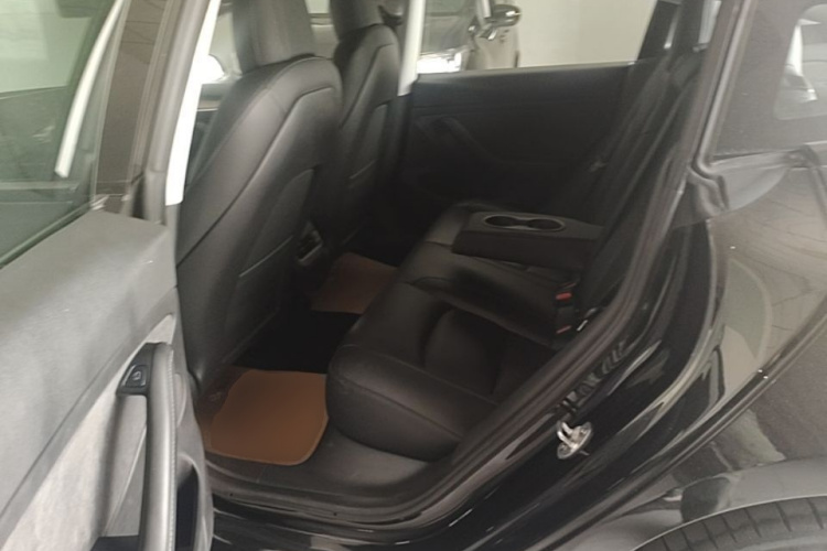 Tesla Model 3 2022 car image #17