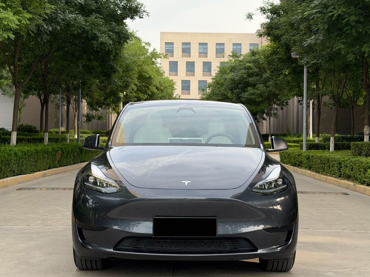 Tesla Model Y 2024 car image #2