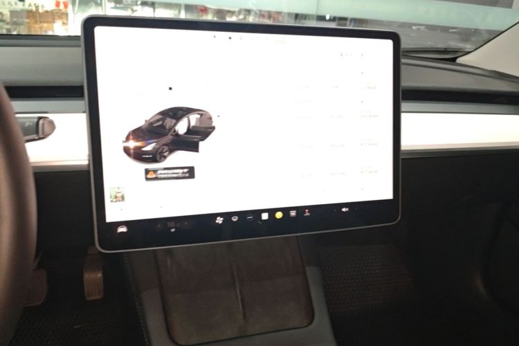 Tesla Model 3 2022 car image #13