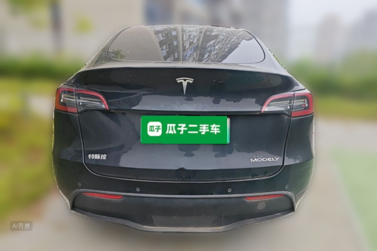 Tesla Model Y 2021 car image #6