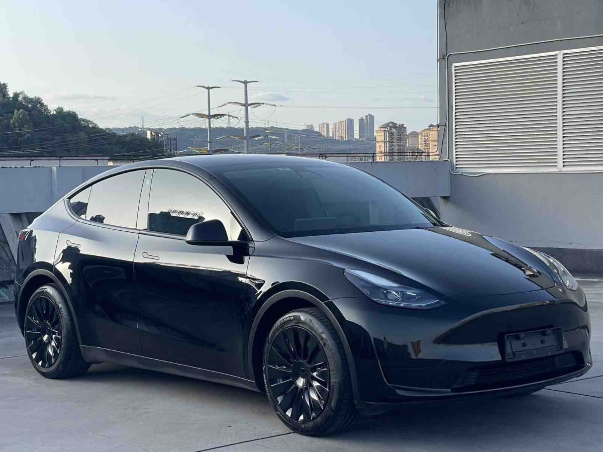 Tesla Model Y 2023 car image #3