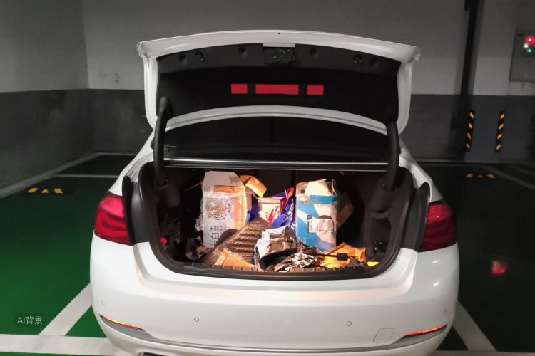 BMW 3 Series 2018 #21 BMW 3 Series 2018 car image #21