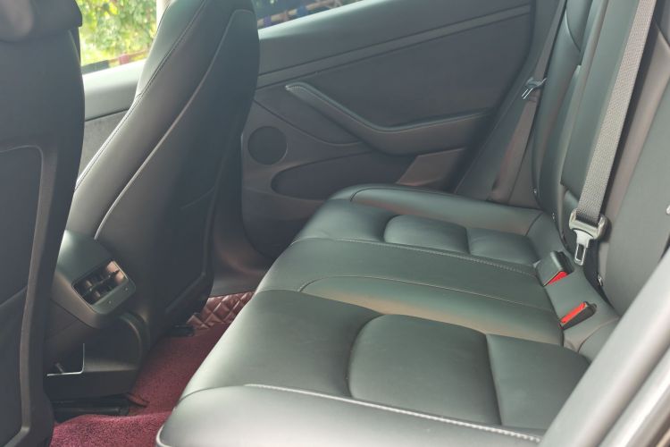 Tesla Model 3 2021 imagem de carro #18