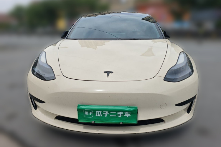 Tesla Model 3 2023 immagine di auto #3