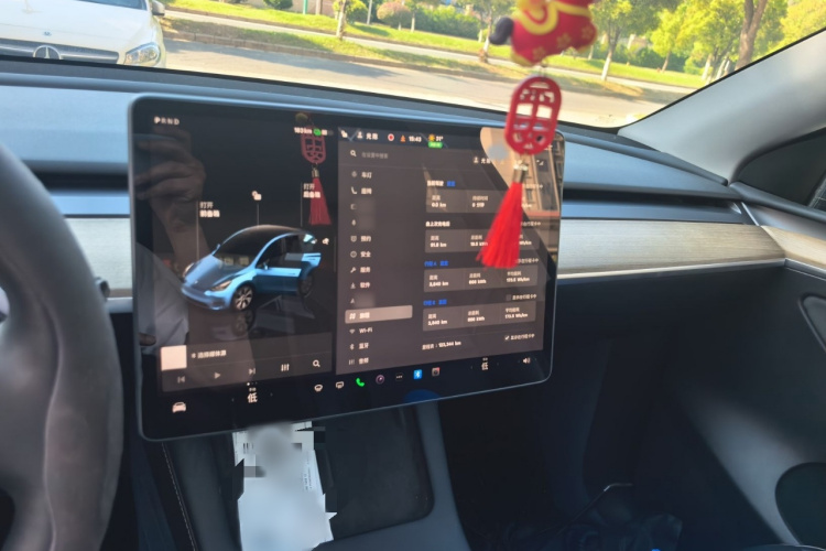 Tesla Model Y 2022 car image #14
