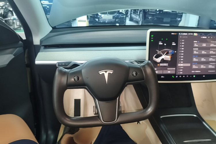 Tesla Model Y 2024 car image #15