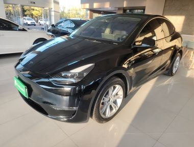 Tesla Model Y 2023 Tesla Model Y 2023 car image