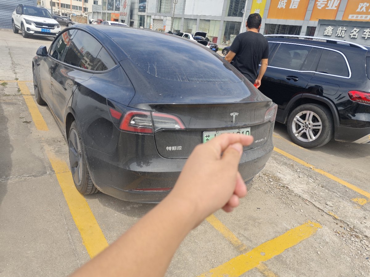 Tesla Model 3 2023 #3 Tesla Model 3 2023 car image #3