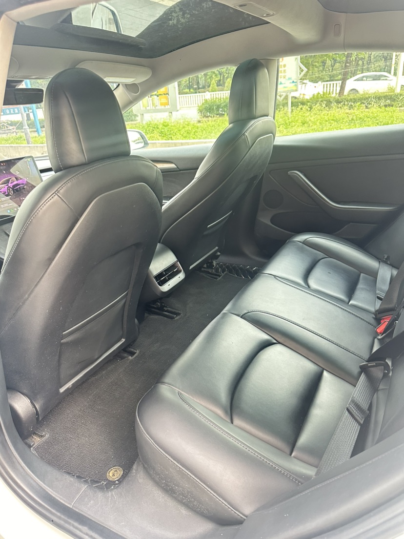 Tesla Model 3 2022 car image #8