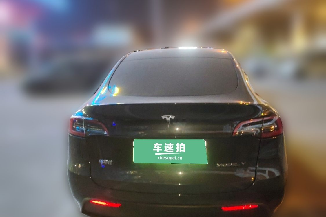 Tesla Model Y 2024 car image #6