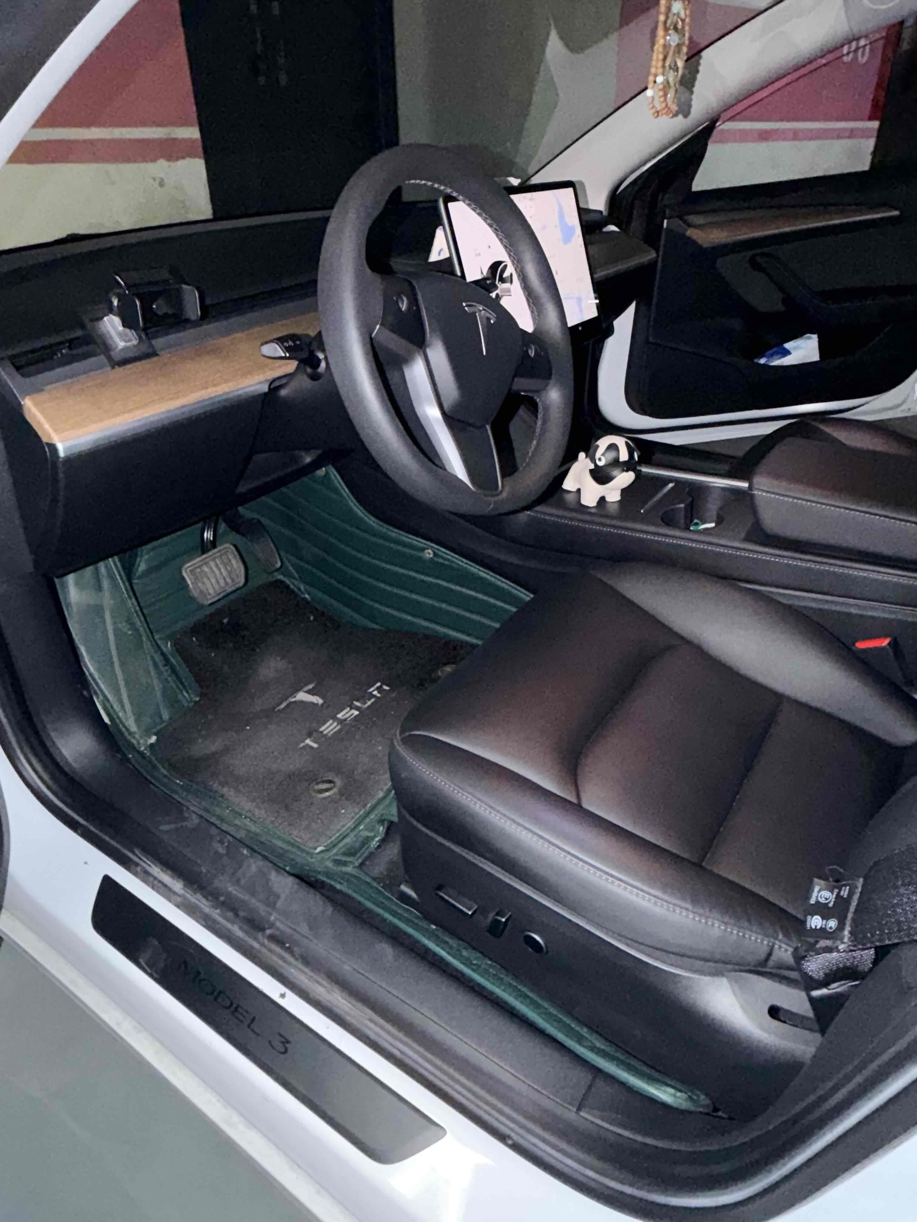 Tesla Model 3 2022 car image #4